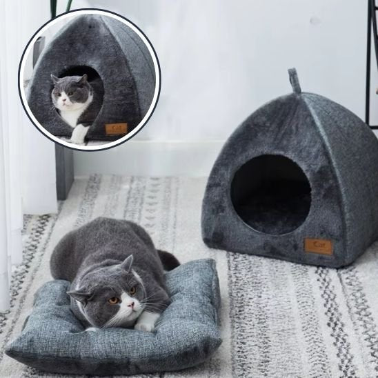 Tente pour chat